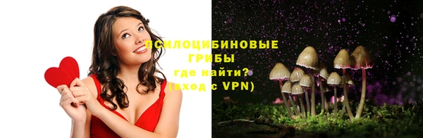 бошки Балахна