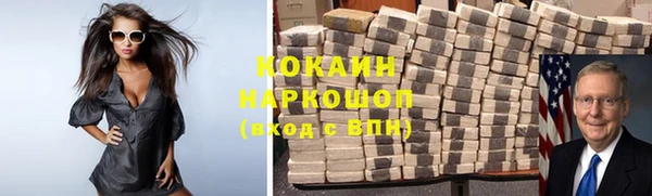 шишки Белокуриха