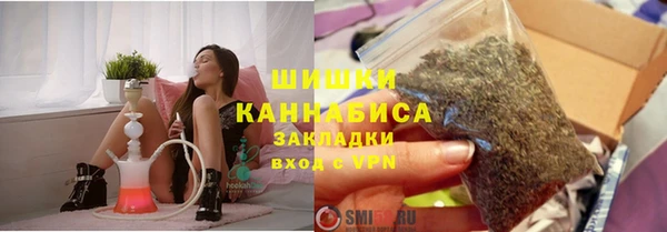 шишки Белокуриха