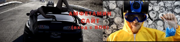 шишки Белокуриха