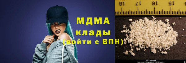 шишки Белокуриха