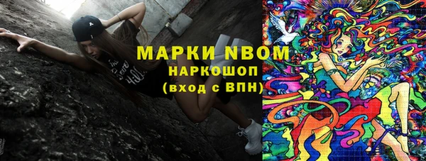 шишки Белокуриха