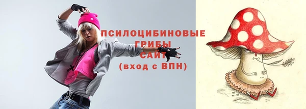 шишки Белокуриха